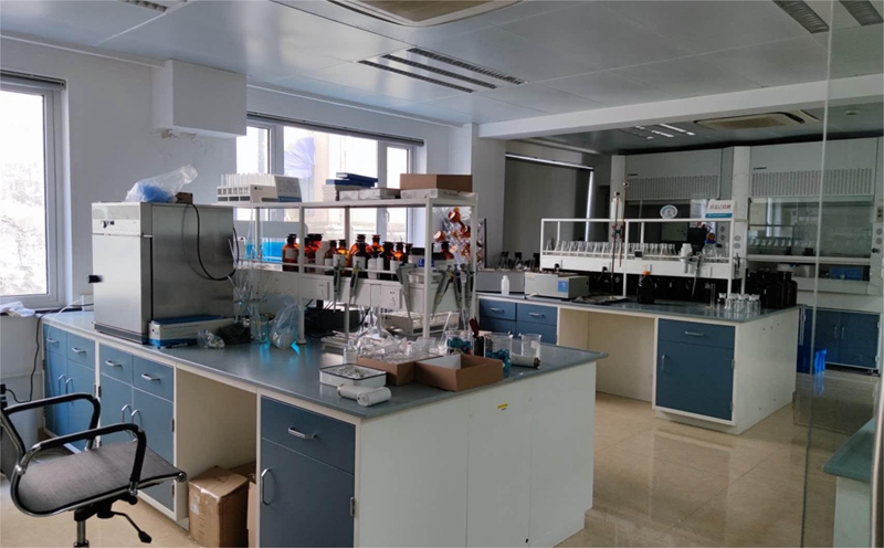 麻豆AV下载搬迁