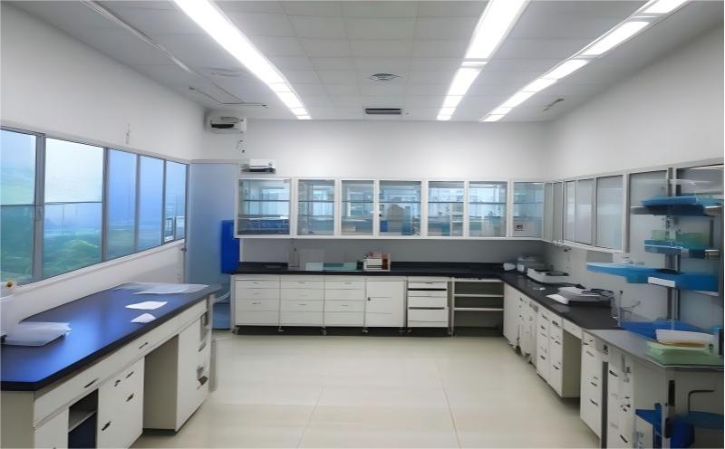 国产麻豆视频免费在线观看团队